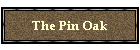 The Pin Oak